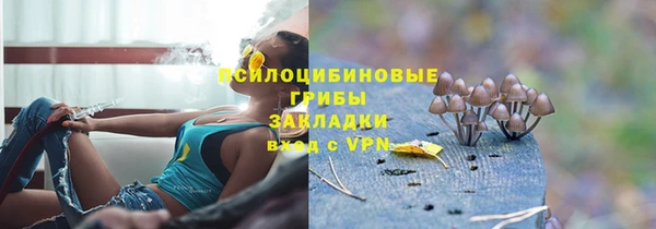 spice Волосово
