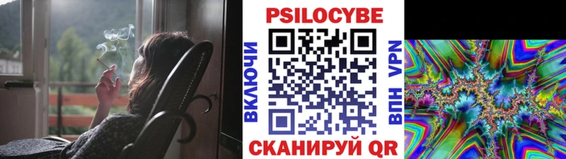 Купить где  Тосно  Галлюциногенные грибы GOLDEN TEACHER 
